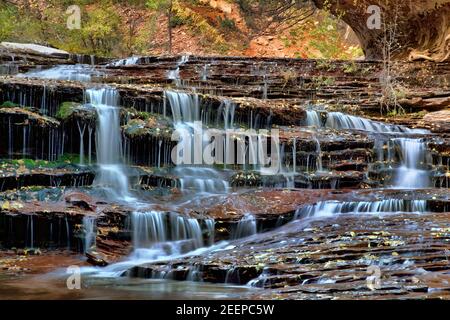 Cascate terrazzate di colore autunnale lungo la biforcazione sinistra di North Creek nella sezione Subway dello Zion National Park, Utah Foto Stock