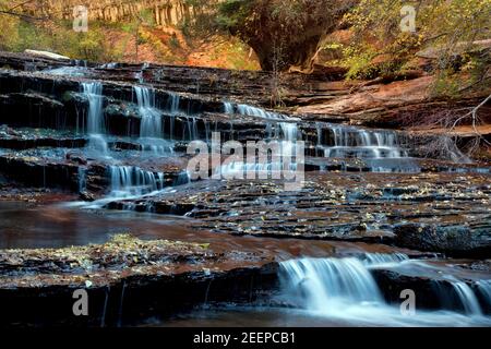 Cascate e terrazze lungo la biforcazione sinistra di North Creek nella sezione Subway a Zion National Park, Utah Foto Stock