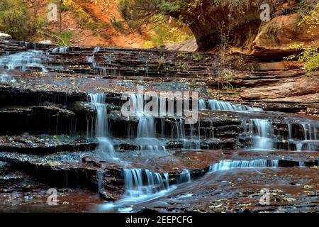 Cascate e terrazze lungo la biforcazione sinistra di North Creek nella sezione Subway a Zion National Park, Utah Foto Stock