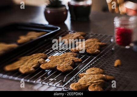 Biscotti di pan di zenzero seduti su rack di raffreddamento Foto Stock