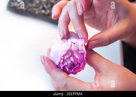Fiori artificiali di rosa dalla schiuma, laboratorio di magistrale di foamiran passo-passo, guida artigianale, Foto Stock