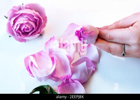 Fiori artificiali di rosa dalla schiuma, laboratorio di magistrale di foamiran passo-passo, guida artigianale, Foto Stock