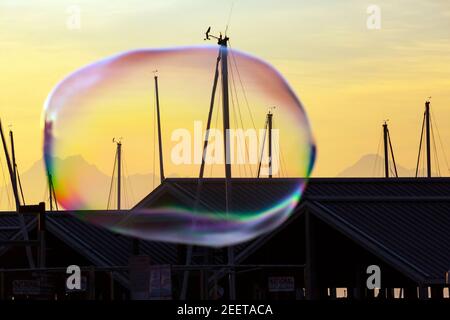 WA1920-00...WASHINGTON - UNA gigantesca bolla di sapone che passa sopra la Marina di Edmonds al tramonto. Foto Stock