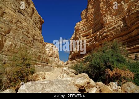 Scenic scogliere di Ein Avdat (Ein Ovdat) gola in Israele Foto Stock