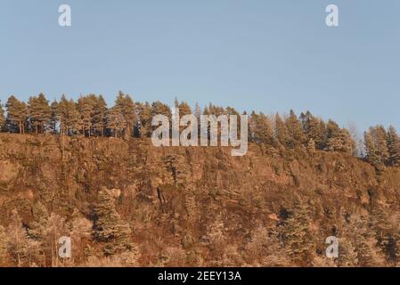 Alberi con rime, gelo, gelo bagnati dalla luce dal sole che tramonta, inverno Norvegia. Foto Stock