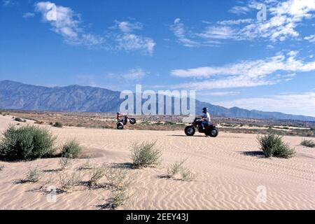 Uomini che guidano tre motocicli gommati nel deserto di Mojave, nella California meridionale. Foto Stock