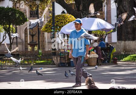 SUCRE, BOLIVIA - 19 LUGLIO 2016: Un uomo non identificato cammina tra i piccioni nella piazza principale della città. Situato in una valle circondata da montagne, il h Foto Stock