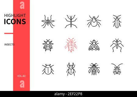 Collezione di insetti - icone moderne di stile design su sfondo bianco. Immagini di zanzara, insetto bastone, zecche, lucciole, bumblebee, cornetto, cavallo Illustrazione Vettoriale