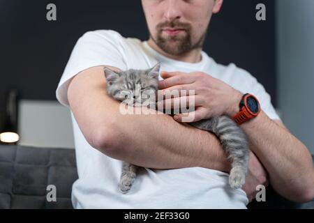 Gli animali domestici amano il tema. L'uomo protegge dolcemente il sonno della razza di gattino britannico prime-eared che tiene in armi e che stropica a casa. Bella relazione tra umano Foto Stock