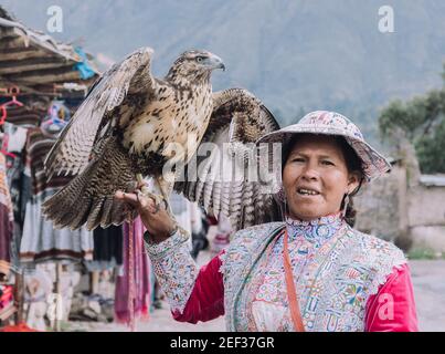 YANQUE, VALLE COLCA, PERÙ - 20 GENNAIO 2018: Donna peruviana nativa con abiti tradizionali tiene un'aquila nel villaggio tradizionale di Colca di Yanqu Foto Stock