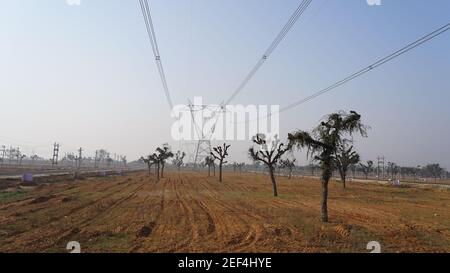 10 febbraio 2021 - Sikar, Jaipur, India. Mattina tempo sparato, deserta e sterile closeup campo. Campi aridi con alcuni alberi e linee di alimentazione. Foto Stock