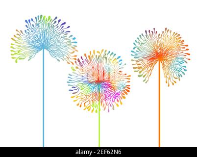 Splendidi colori di andelioni. Illustrazione vettoriale Illustrazione Vettoriale