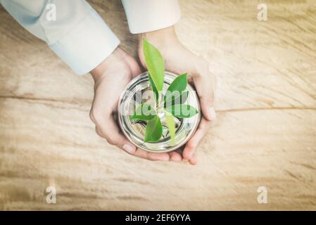 Pianta giovane che cresce da soldi (monete) nel vaso di vetro tenuto dalle mani della donna Foto Stock