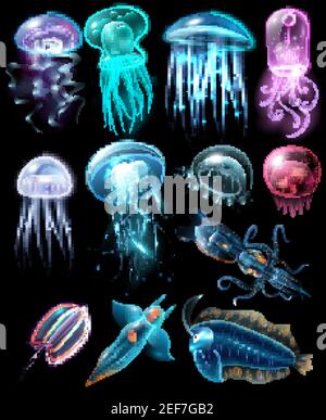 Leggero e multicolore elegante animale subacqueo icona impostare pesce diverso illustrazione vettoriale di meduse e calamari Illustrazione Vettoriale