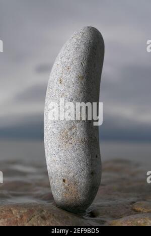 Primo piano di un ciottolo su una superficie rocciosa Foto Stock