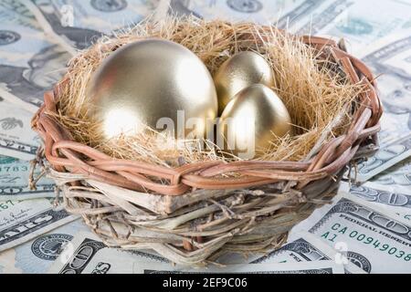 Primo piano di uova d'oro con valuta di carta in un birdÅ½s nido Foto Stock