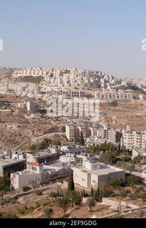 Har Homa, insediamento ebraico situato in cima alla collina, visto da Betlemme, Palestina Foto Stock