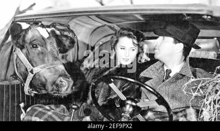 Ricordate la notte 1940 Paramount Pictures film con Barbara Stanwyck e Fred MacMurray Foto Stock