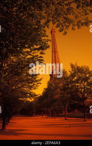 Alberi di fronte a una torre, Torre Eiffel, Parigi, Francia Foto Stock