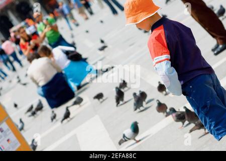 Profilo laterale di un ragazzo in piedi e guardando piccioni, Venezia, Veneto, Italia Foto Stock