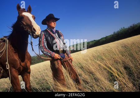 Cowboy in piedi con un cavallo su un campo, Texas, Stati Uniti Foto Stock