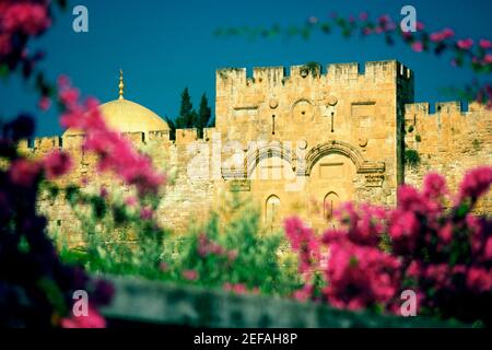 Piante di fiori di fronte a un muro, la porta d'oro, Gerusalemme, Israele Foto Stock