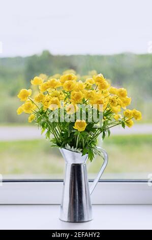 Trollius europaeus in un vaso. Fiori selvatici gialli, fiore Globe strettamente legato a Ranunculus. Ritaglio verticale. Foto Stock