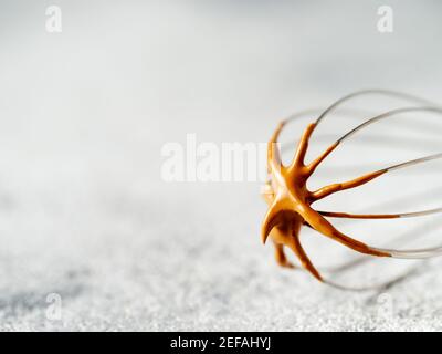 Frusta con caffè alla moda coreano dalgona. Il caffè istantaneo montato sul metallo frusta su fondo grigio in cemento con spazio per la copia di testo o design Foto Stock