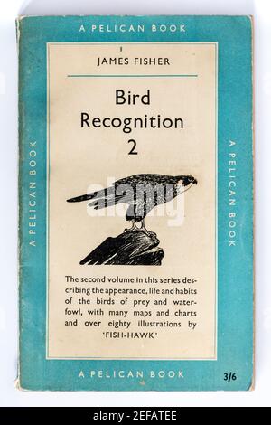 1951 James Fisher libro di uccelli vintage in libro cartaceo chiamato Bird Recognition 2: Uccelli rapaci e uccelli acquatici (libri Pelican) Foto Stock