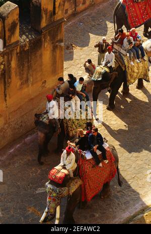 Vista ad alto angolo dei turisti su elefanti, Jaipur, Rajasthan, India Foto Stock