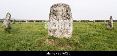 Merry Maidens Bronze Age Stone Circle, Cornovaglia Foto Stock