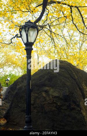 Vista ad angolo basso di un lampione vicino a un masso, Central Park, Manhattan, New York City, New York state, STATI UNITI Foto Stock