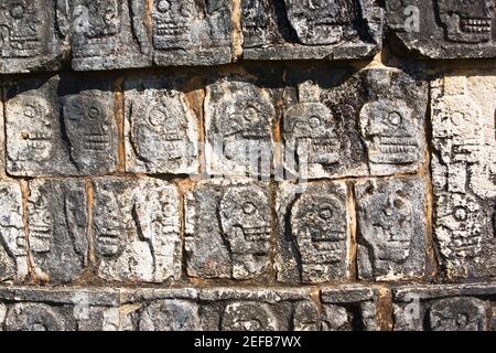 Primo piano di teschi scolpiti sul muro, Chichen Itza, Yucatan, Messico Foto Stock