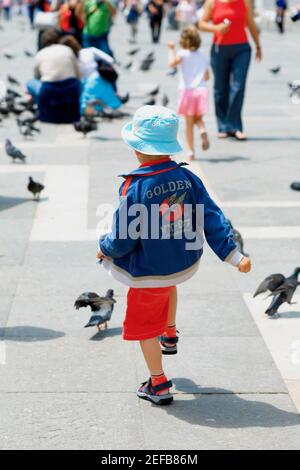 Vista posteriore di un ragazzo che cammina verso i piccioni, Venezia, Veneto, Italia Foto Stock