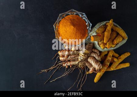 Curcuma è la spezia indiana che dà il colore giallo a. curry ed è una pianta medicinale Foto Stock