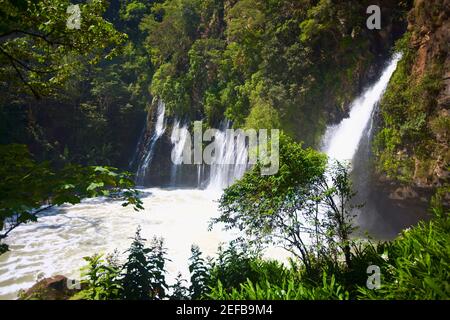 Cascata in una foresta, Tzararacua cascata, Uruapan, Michoacan stato, Messico Foto Stock