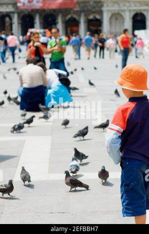 Vista posteriore di un ragazzo in piedi e guardando piccioni, Venezia, Veneto, Italia Foto Stock