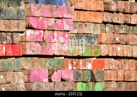 Vibranti travi industriali in legno multicolore verniciate con mosaici invecchiati. Foto Stock