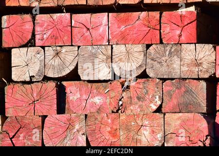 Vibranti travi industriali in legno multicolore verniciate con mosaici invecchiati. Foto Stock