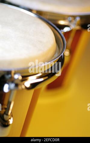 Primo piano di un bongo Foto Stock