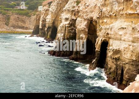 Vista ad alto angolo delle grotte sotto una scogliera, la Jolla Reefs, San Diego Bay, California, USA Foto Stock