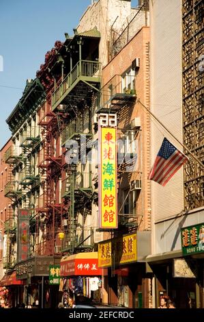 Edifici in una città, la città di New York, nello Stato di New York, Stati Uniti d'America Foto Stock