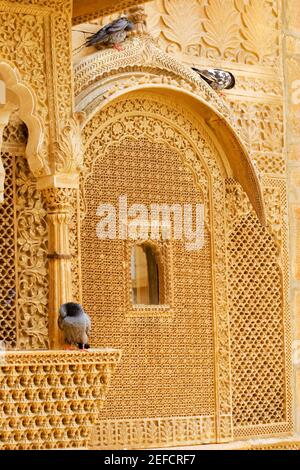 Piccioni seduti sul bordo di una finestra, Jaisalmer, Rajasthan, India Foto Stock
