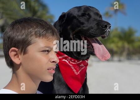 Primo piano di un ragazzo adolescente e di un cane Foto Stock