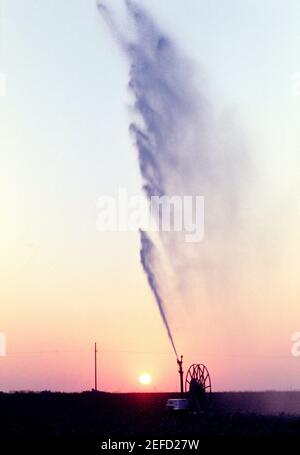 Vista del sistema di irrigazione per fagioli di soia con tramonto sullo sfondo, Texas Foto Stock