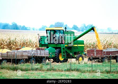 Unisci i caricamenti di mais nel carro nella contea di Clinton , OH Foto Stock