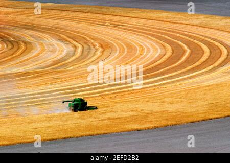 Vista aerea del campo di grano per la raccolta della mietitrebbia, Cheyenne, WY Foto Stock
