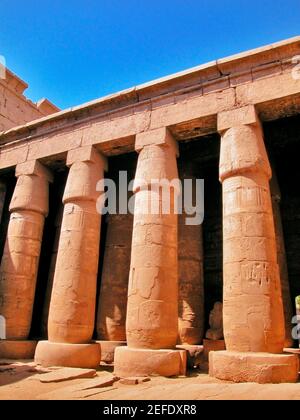 Vista ad angolo basso di colonne in un tempio, templi di Karnak, Luxor, Egitto Foto Stock