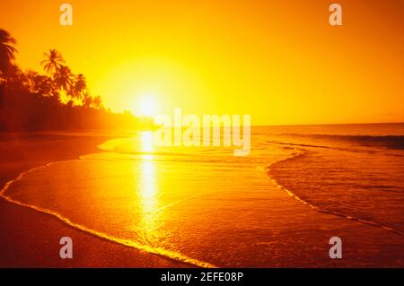 Tramonto sulla spiaggia, Caraibi Foto Stock