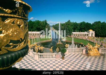 Fontane nel giardino di un palazzo, Peterhof Grand Palace, San Pietroburgo, Russia Foto Stock